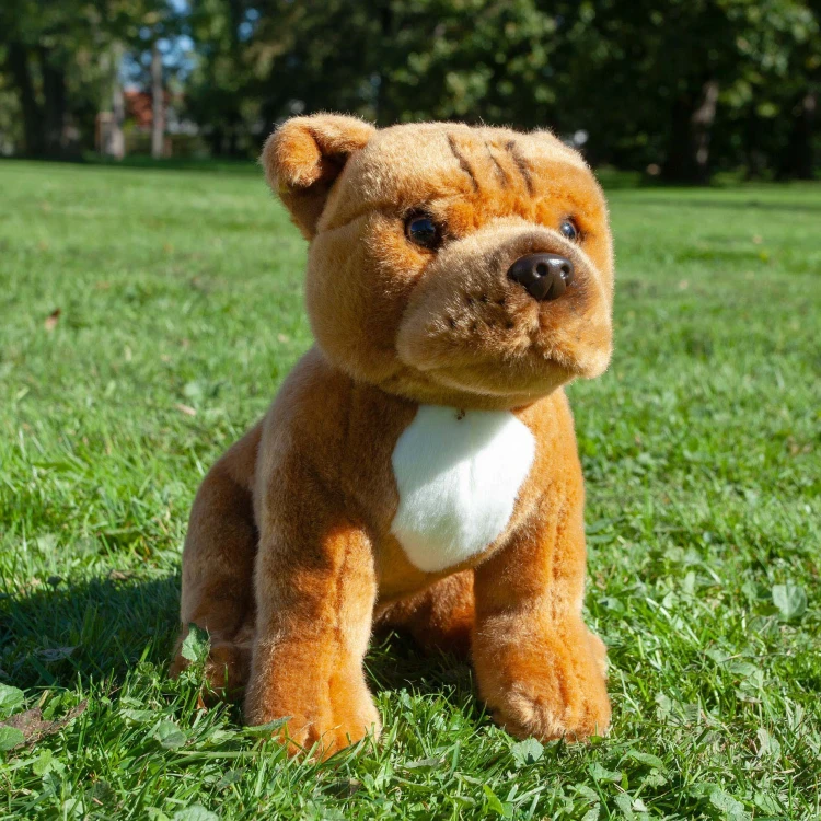 stafford bull terrier Rappa maskotka dla dzieci zdjęcie plenerowe
