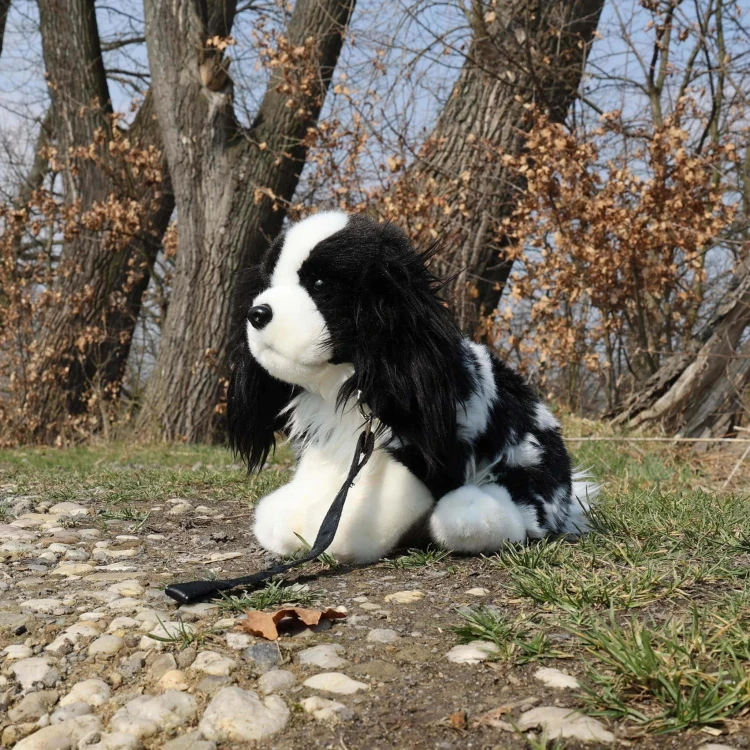 king charles spaniel Rappa maskotka ze smyczą