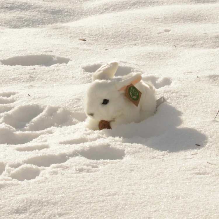 Biały królik pluszak w śniegu – zdjęcie lifestyle