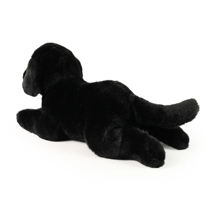 labrador Rappa widok z boku