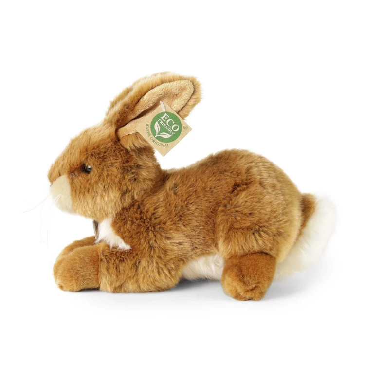 królik Rappa widok z boku