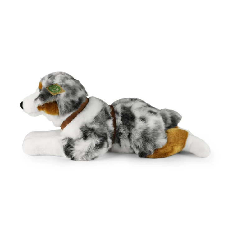 owczarek australijski Rappa widok z boku