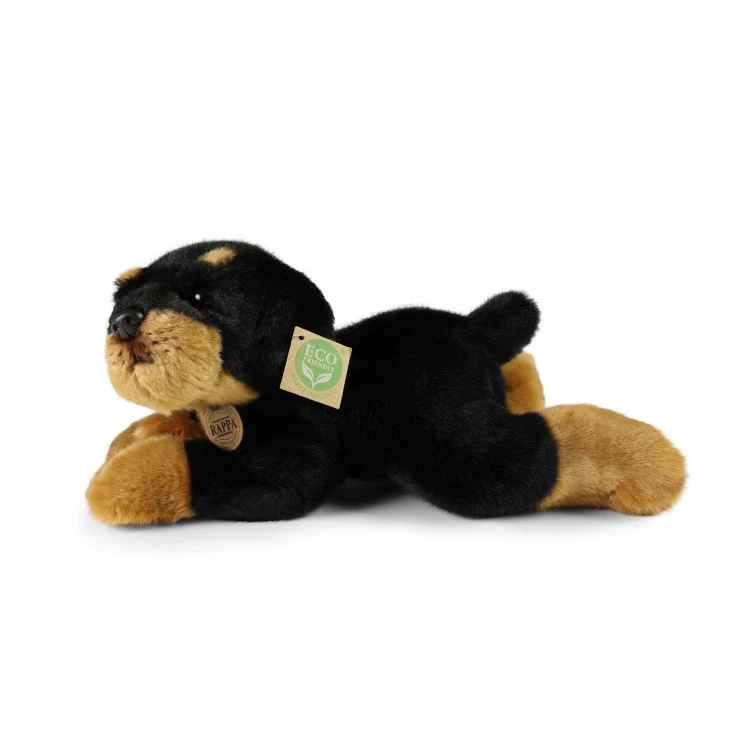 rottweiler Rappa widok z boku