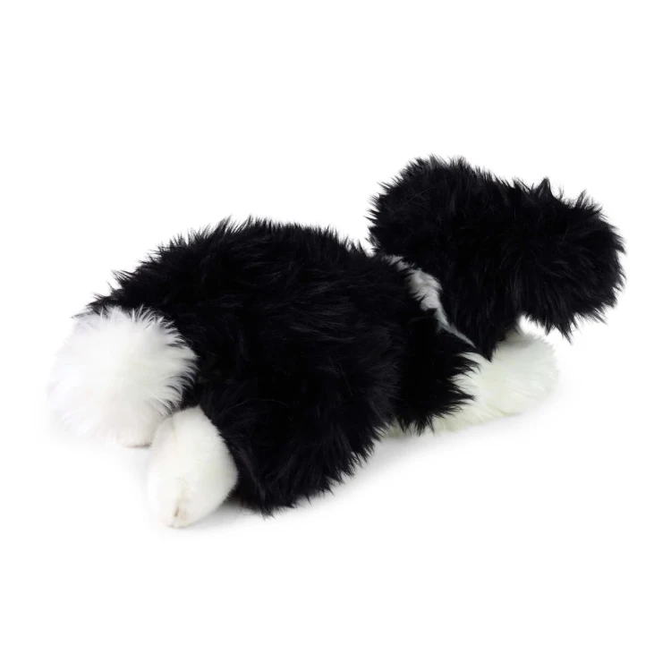 border collie Rappa 32 cm