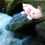 aksolotl Rappa 33 cm