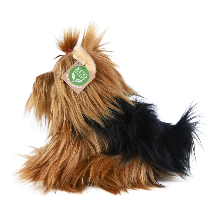yorkshire terrier Rappa 23 cm
