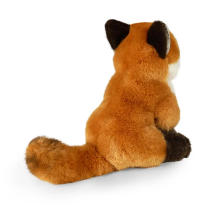 lis Rappa 21 cm
