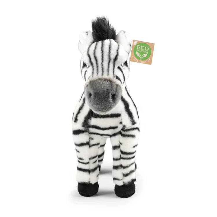 zebra Rappa widok z przodu