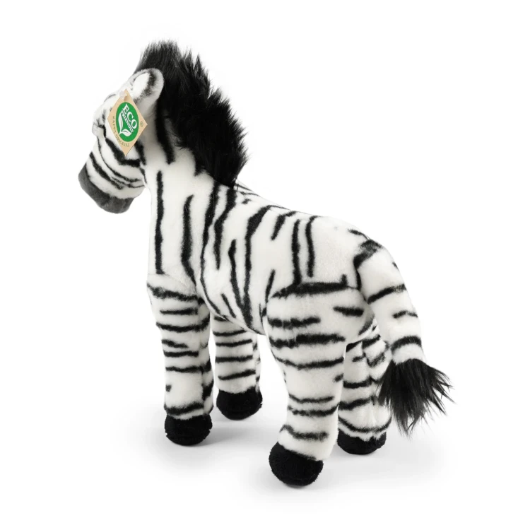 zebra Rappa charakterystyczne pasy