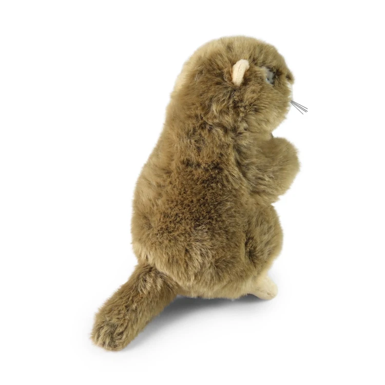 świstak Rappa 23 cm