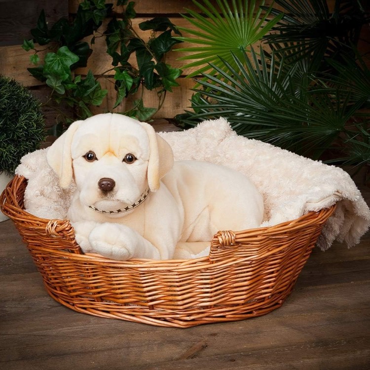 Pluszak pies Golden Labrador XXL 51 cm Living Nature