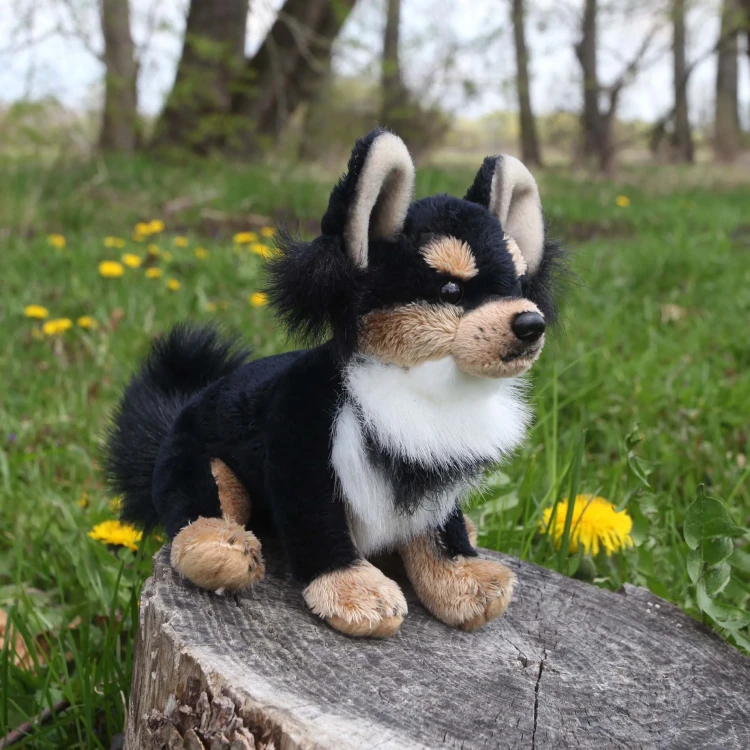 chihuahua Rappa 15 cm