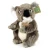 koala Rappa widok z przodu