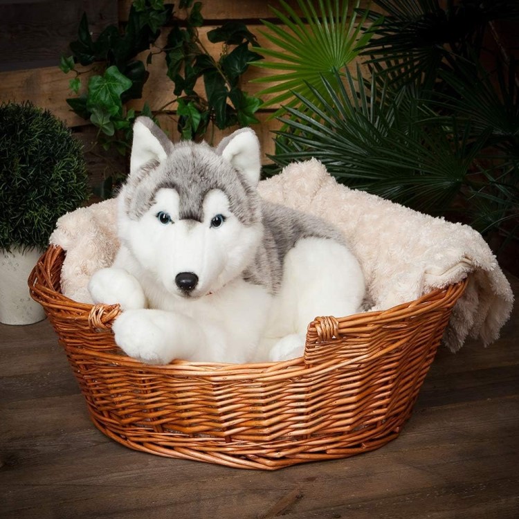 Pluszak pies Husky z obrożą 60 cm XXL Living Nature