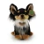 maskotka chihuahua Rappa eco friendly