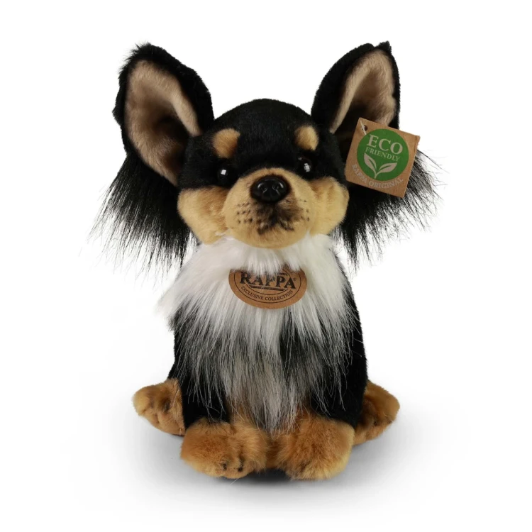 maskotka chihuahua Rappa eco friendly