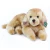 pluszak pies golden retriever Rappa 36 cm