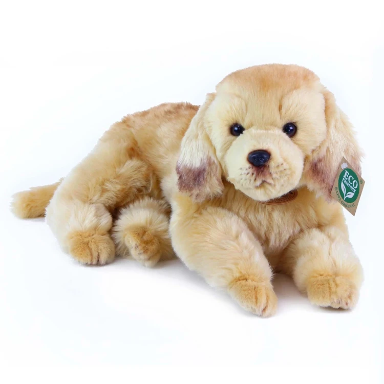 pluszak pies golden retriever Rappa 36 cm