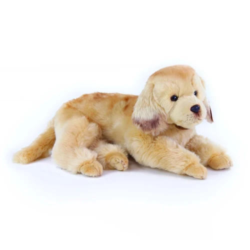 maskotka golden retriever Rappa eco friendly