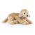 maskotka golden retriever Rappa eco friendly