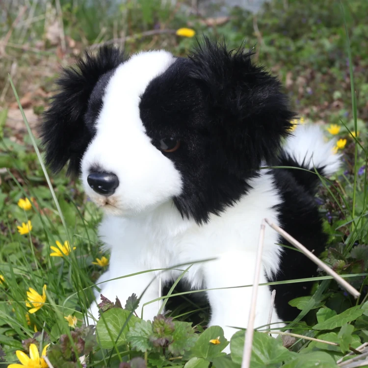 pluszak pies border collie wypełnienie z recyklingu