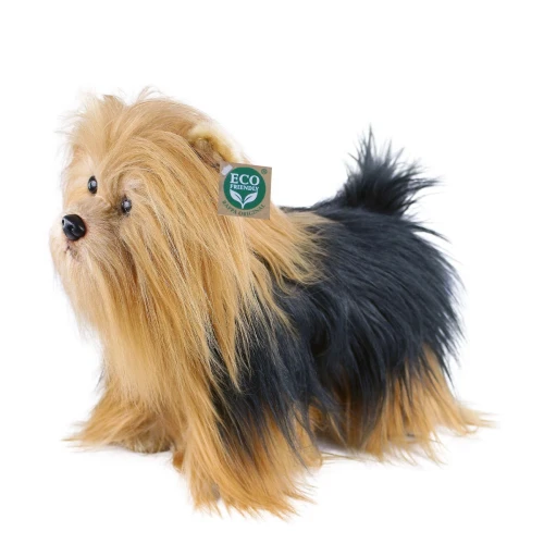 maskotka yorkshire terrier Rappa eco friendly