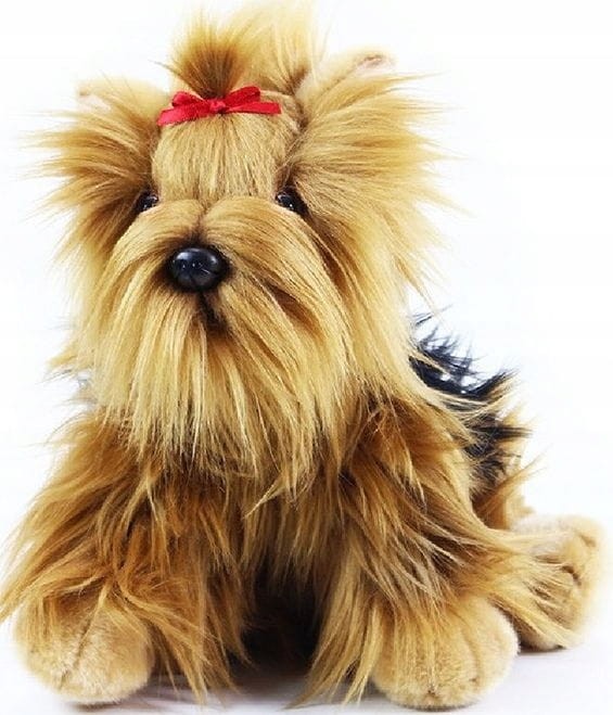Pluszak maskotka Piesek Yorkshire Terrier Eco Friendly Prezent