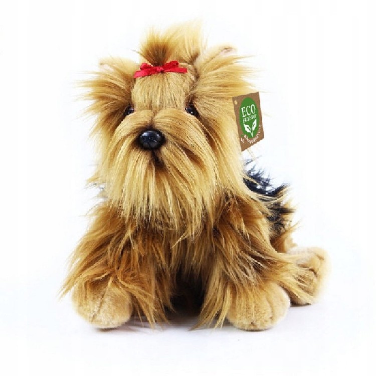 Pluszak maskotka Piesek Yorkshire Terrier Eco Friendly Prezent