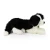 maskotka pies border collie pluszak ekologiczny pies border collie Rappa