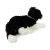 pluszak border collie maskotka pies border collie widok tył