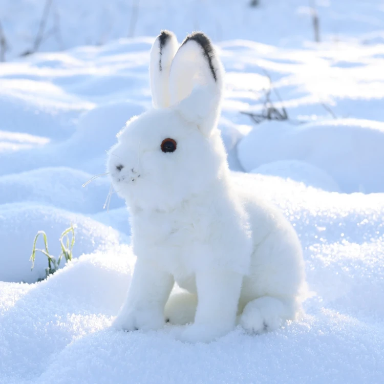 pluszak królik maskotka realistyczny biały królik w śniegu