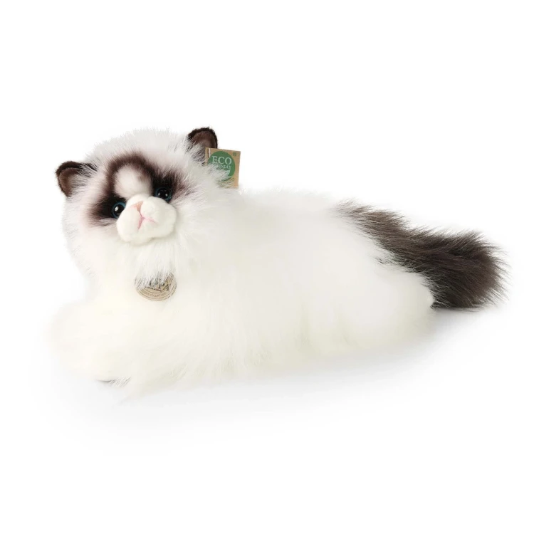 pluszak kot Ragdoll Rappa 40 cm