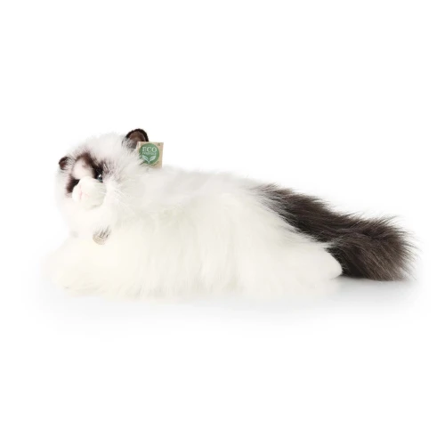 maskotka kot Ragdoll Rappa eco friendly