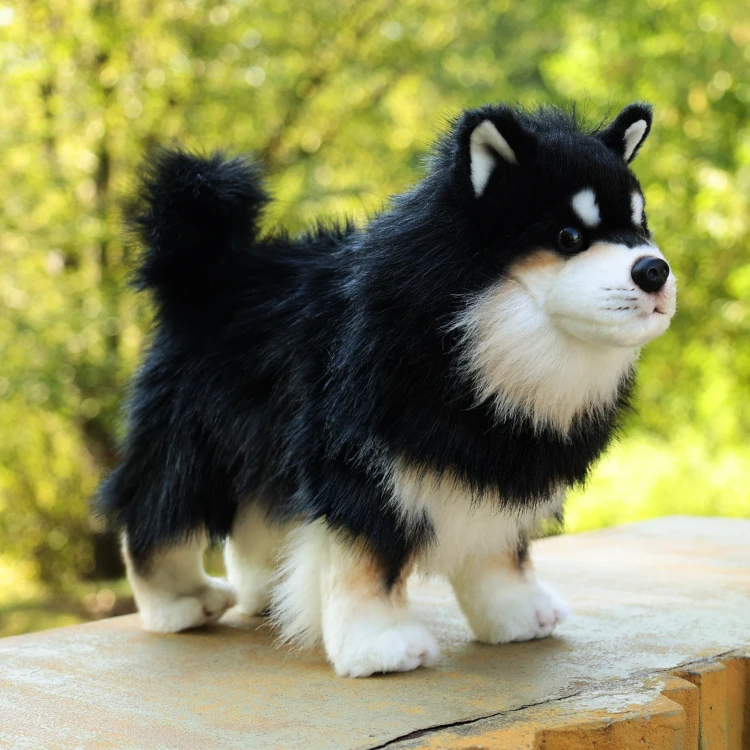 pies fiński lapphund Rappa 33 cm maskotka eco friendly