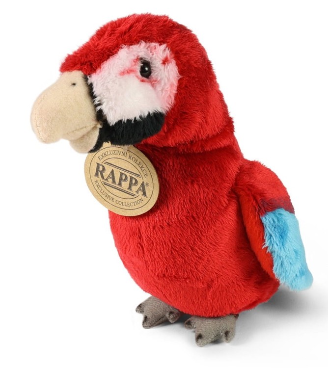 papuga czerwona rappa