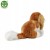 alt="Cavalier King Charles Rappa – puchata eco friendly maskotka"