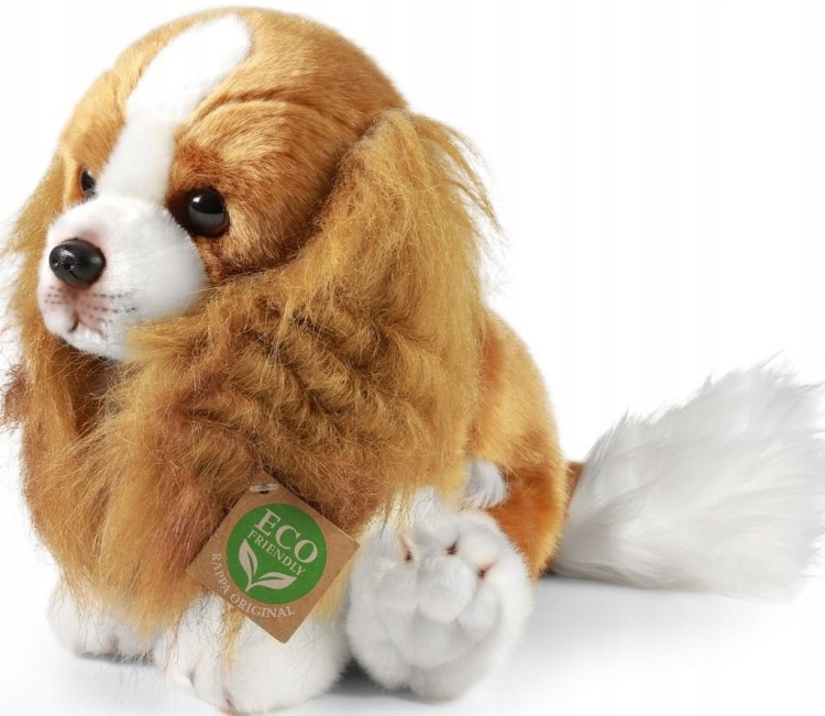 alt="Maskotka pies Cavalier Rappa – realistyczna, pluszowa"