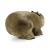 240773-3.webp