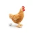 maskotka kura z jajkiem Uni-Toys eco friendly