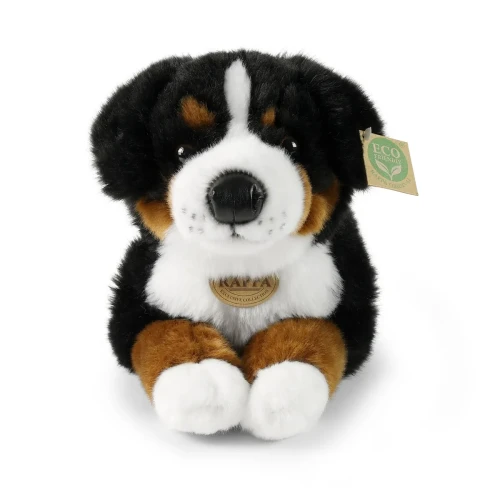 pluszak pies berneński zabawka