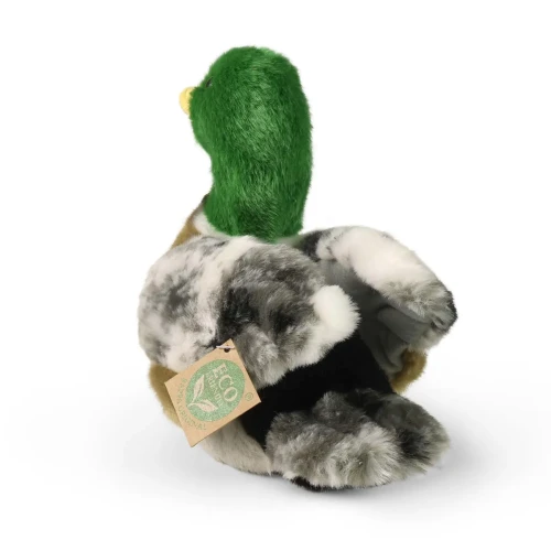 pluszak kaczka zielona głowa realistyczna maskotka ptak