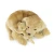 pluszak pies Rappa golden retriever