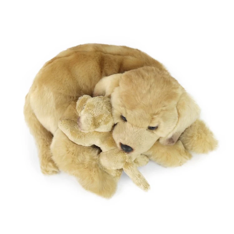 pluszak pies Rappa golden retriever