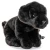 pluszak labrador czarny ze smyczą Uni Toys