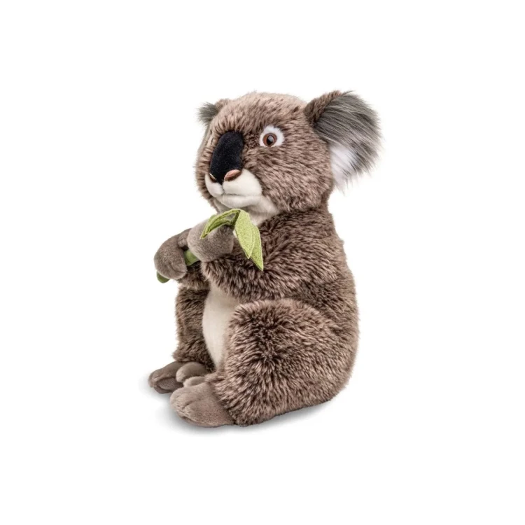 maskotka egzotyczne zwierzę koala