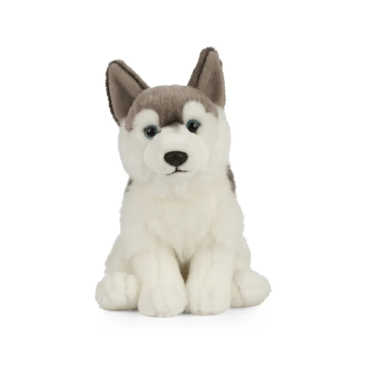 pluszak inspirowany rasą syberyjski husky