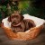 716cuJZsB2L._AC_SL1000_.jpg