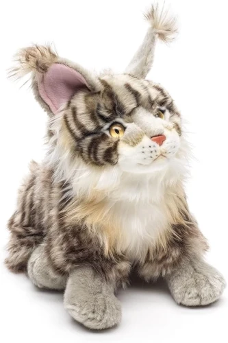 duży kot Maine Coon dla dziecka