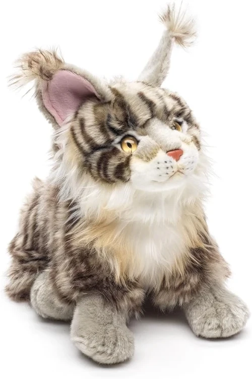 duży kot Maine Coon dla dziecka