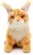 kot Maine Coon z puszystym ogonem